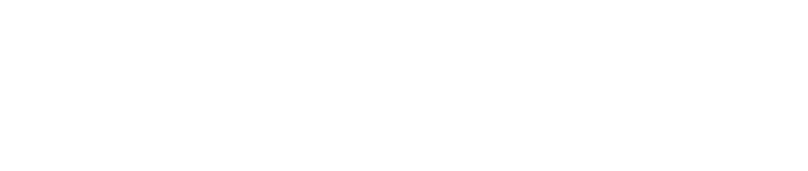 CitySchoolsHeader (white)