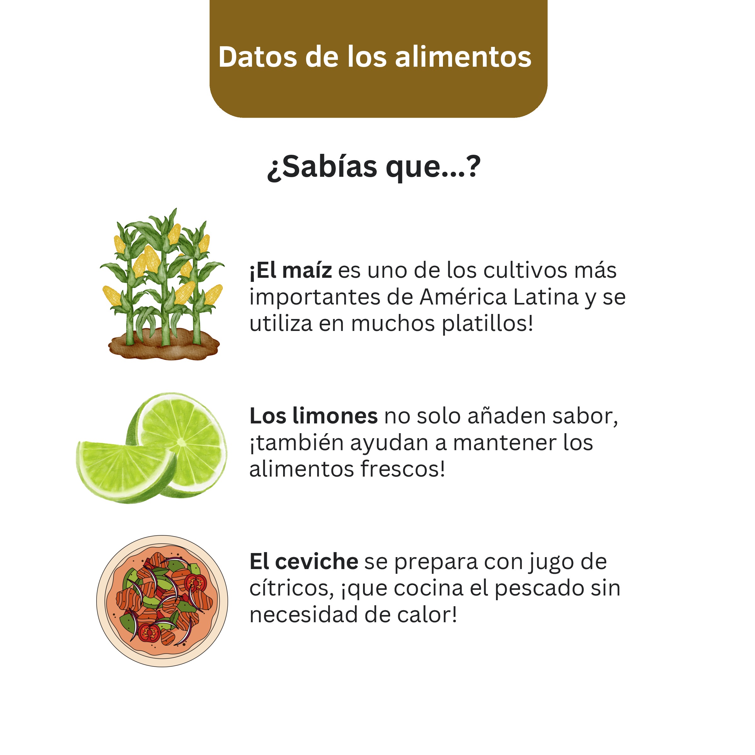 Tomás’ Flavorful Latin Adventure | Bilingual Storybook Kitchen Book - Image 6